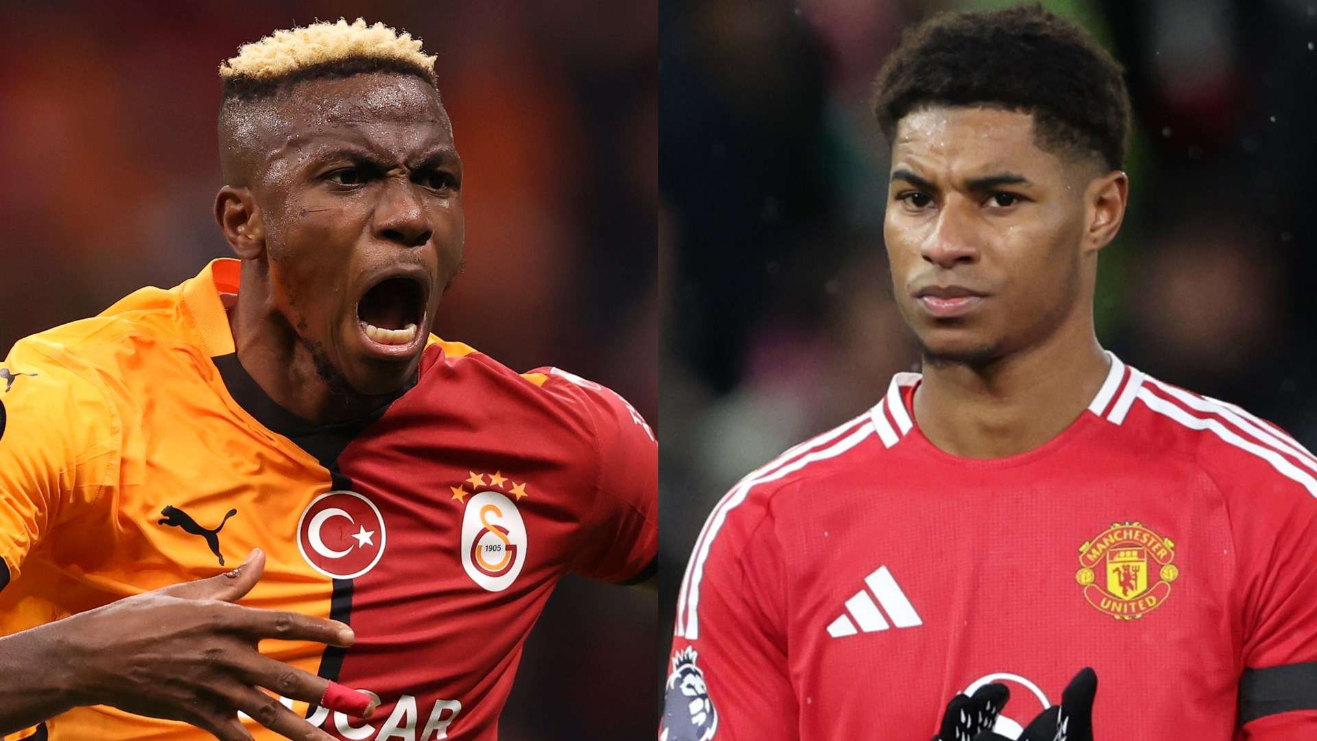 顶替洛里的 顶替洛里的