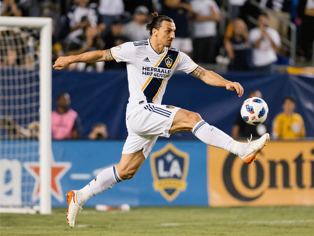 箭领域的资 箭领域的资